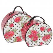 Set of 2 Jessie Steele Pink Rose Pattern Storage Cases