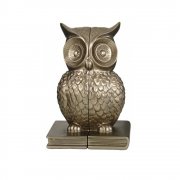 Soft Gold Coloured Owl Sitting on a Book Pair of Bookends